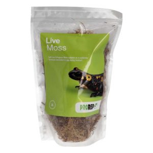 PR Live Moss 3 Litre