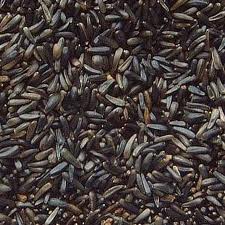 Niger Seed 10kg